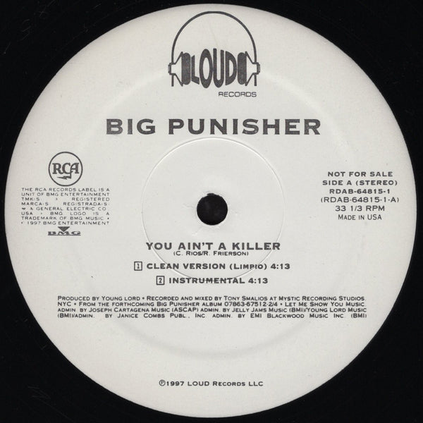Big Punisher - You Ain't A Killer [12" Single]