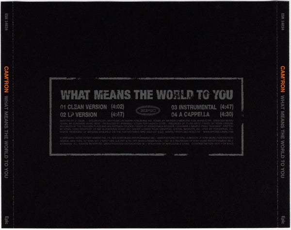 Cam'ron - What Means The World To You [CD Single]