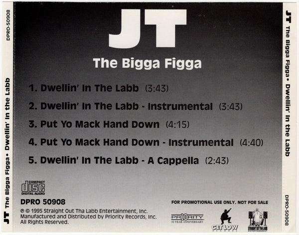 JT The Bigga Figga - Dwellin' In The Labb [CD Single]