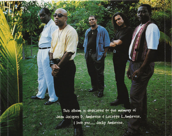 Strings - Flamenco Tropical [CD Album]